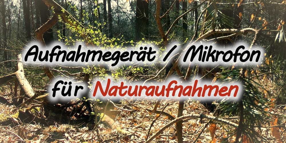 Aufnahmegerät und Mikrofon für Naturaufnahmen (Atmo, Detailaufnahmen)
